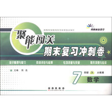 朔枫林新课堂·聚能闯关期末复习冲刺卷:数学(7年级下)(人教版)