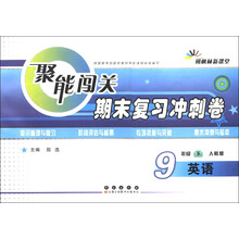 朔枫林新课堂·聚能闯关期末复习冲刺卷:英语(9年级下)(人教版)