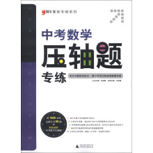 题型专练系列：中考数学压轴题专练