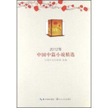 2012年中国中篇小说精选