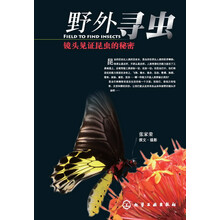 野外寻虫:镜头见证昆虫的秘密