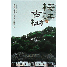 梅江古树