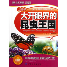 让孩子大开眼界的昆虫王国