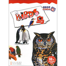 动脑动手神奇快乐贴：鸟