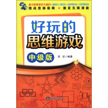 好玩的思维游戏（中级版）