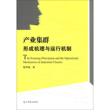 产业集群形成机理与运行机制