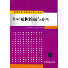 高等院校信息技术规划教材:SAS数据挖掘与分析