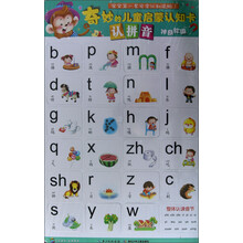 七彩童年·益智童书·奇妙的儿童启蒙认知卡：认拼音