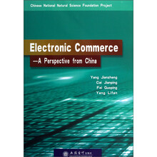 Electronic commerce A perspcctive from china 电子商务：中国视角