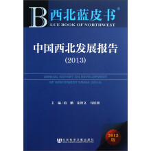中国西北发展报告（2013）