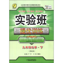 春雨教育·实验班提优训练:9年级化学(下)(鲁教版)(2013春)