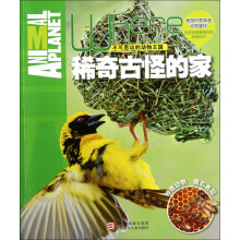 不可思议的动物王国：稀奇古怪的家