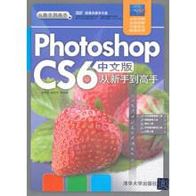 从新手到高手：Photoshop CS6中文版从新手到高手（配光盘）