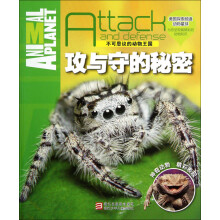 不可思议的动物王国:攻与守的秘密