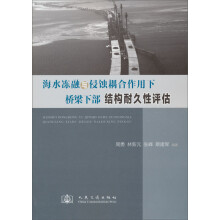 海水冻融与侵蚀耦合作用下桥梁下部结构耐久性评估