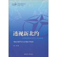 中国北约研究丛书·透视新北约：从军事联盟走向安全一政治联盟