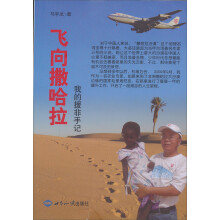 飞向撒哈拉:我的援非手记