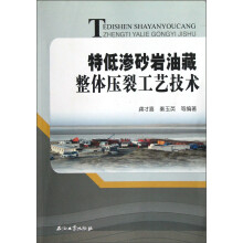 特低渗砂岩油藏整体压裂工艺技术