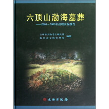 六顶山渤海墓葬:2004-2009年清理发掘报告