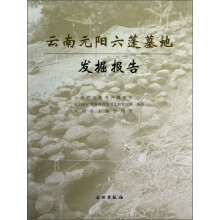 云南元阳六蓬墓地发掘报告