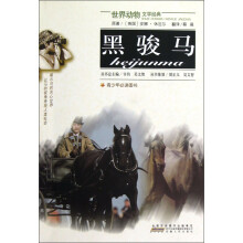 世界动物文学经典:黑骏马