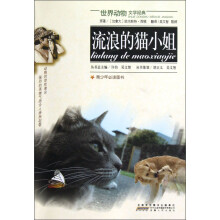 世界动物文学经典:流浪的猫小姐