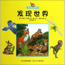 皮卡西大故事书:发现世界