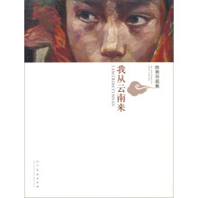 我从云南来:陈艳玲画集
