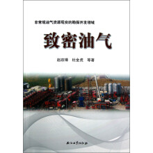 非常规油气资源现实的勘探开发领域：致密油气