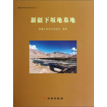 新疆文物考古研究所丛刊之二：新疆下坂地墓地