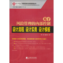 内部控制与风险管理丛书：基于风险管理的内部控制设计流程、设计实务、设计模板