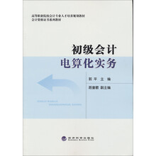初级会计电算化实务
