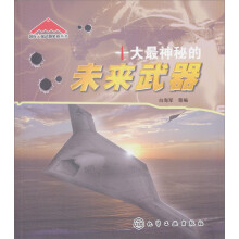 国际尖端武器装备丛书:十大最神秘的未来武器