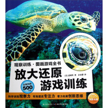 观察训练·图画游戏全书：放大还原游戏训练