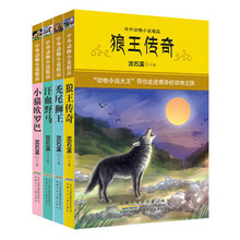 中外动物小说精品·第3辑(套装全4册)秃尾狮王 狼王传奇 汗血野马 小猫欧罗巴