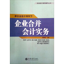 新企业会计准则下企业合并会计实务