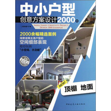 中小户型创意方案设计2000例：顶棚、地面