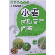 小麦优质高产问答