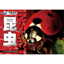 探索科学百科丛书：昆虫