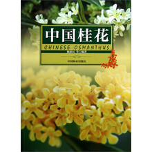 中国桂花