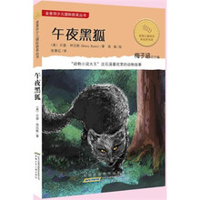 金麦田少儿国际获奖丛书:午夜黑狐