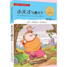 金麦田少儿国际获奖丛书:小天才与傻大个