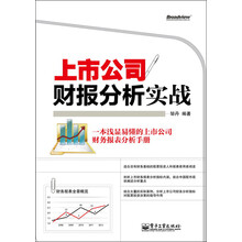 上市公司财报分析实战
