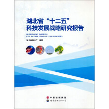 湖北省“十二五”科技发展战略研究报告