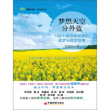 梦想天空分外蓝：100个感动全世界的追梦与圆梦故事