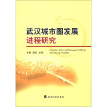 武汉城市圈发展进程研究