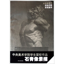 中央美术学院学生留校作品:大范本系列