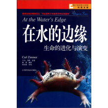 在水的边缘