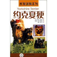 养猪训狗系列：约克夏《犭更》