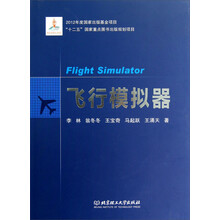 飞行模拟器